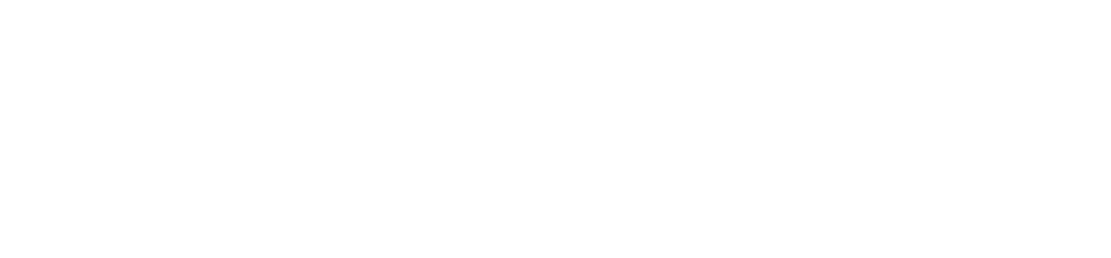 Business Card Intelligence